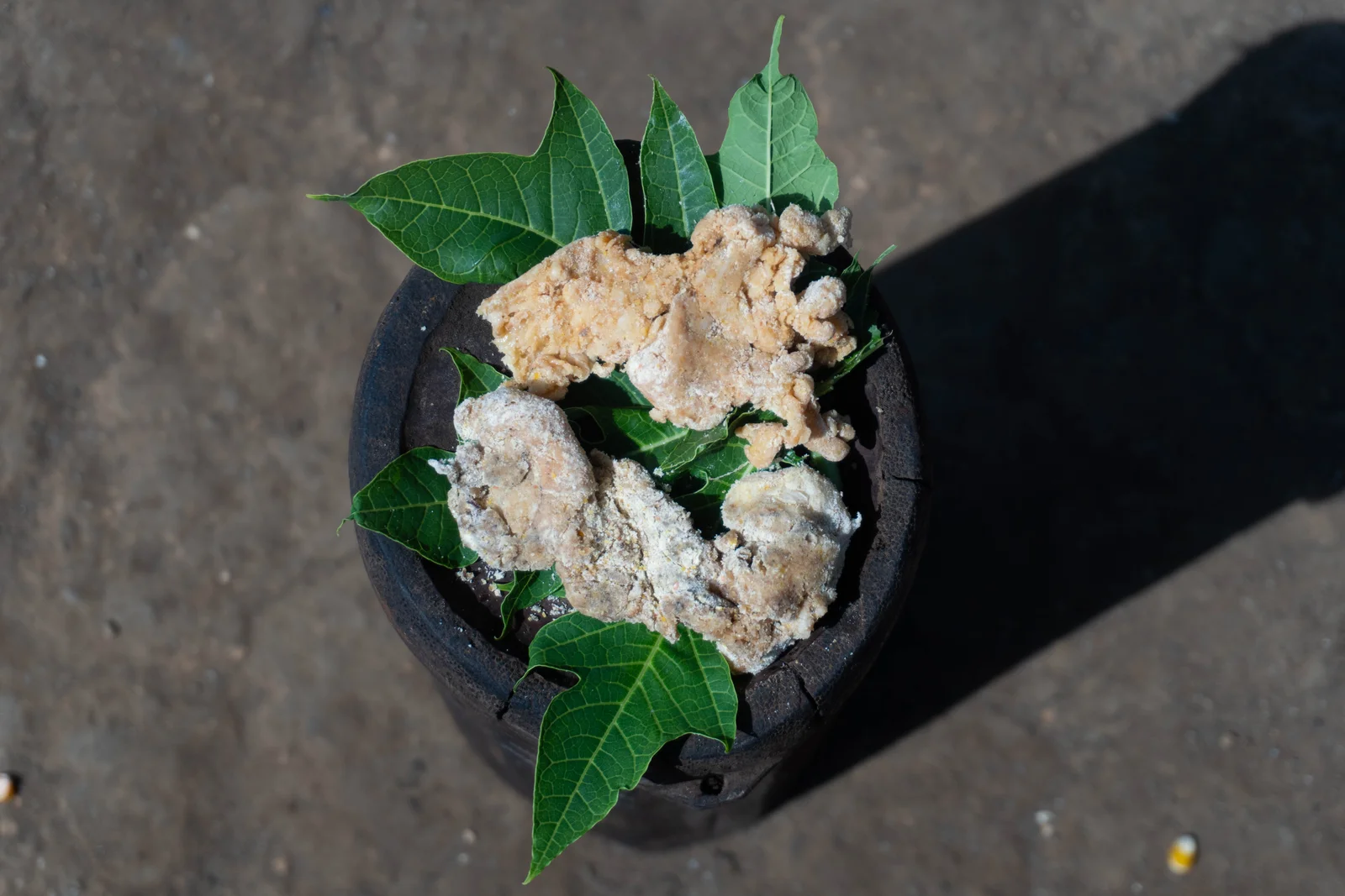 Pengawetan Daging Tradisional Masyarakat Langagedha, Ngada